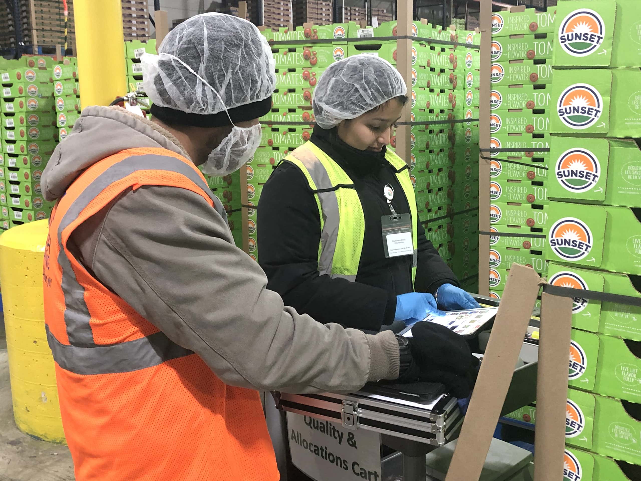 The SOHO Produce team in Maasdijk